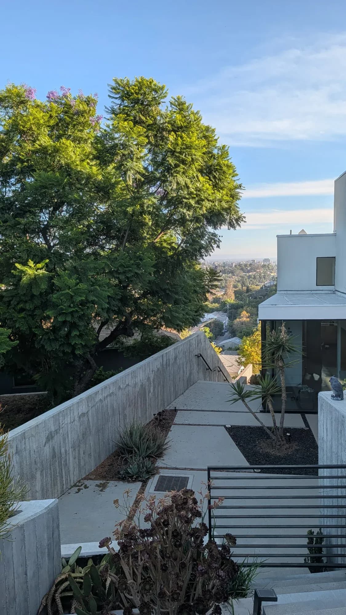 Tree Trimming & Landscaping Services in Los Angeles, CA
